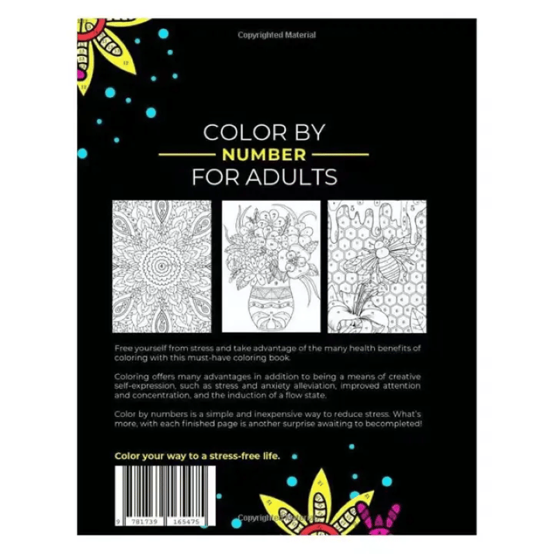 Color By Number Coloring Book for Adults – naivetu